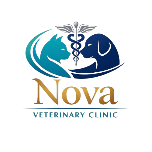 nova clinic