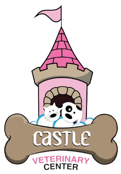 castle center