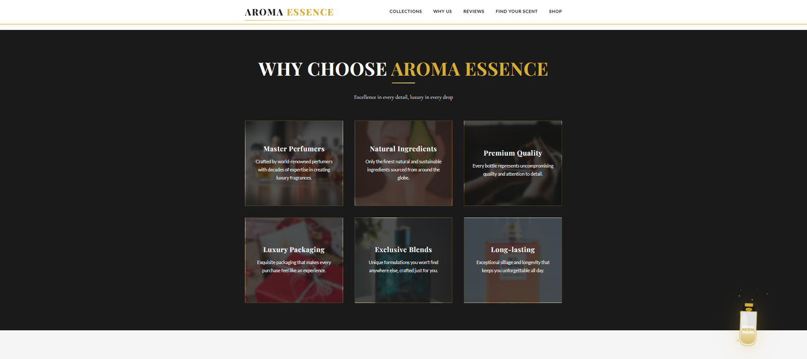 صورة من معرض المشروع